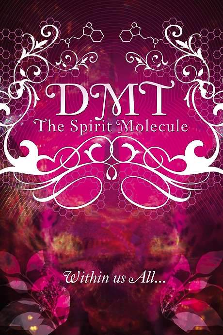DMT: The Spirit Molecule